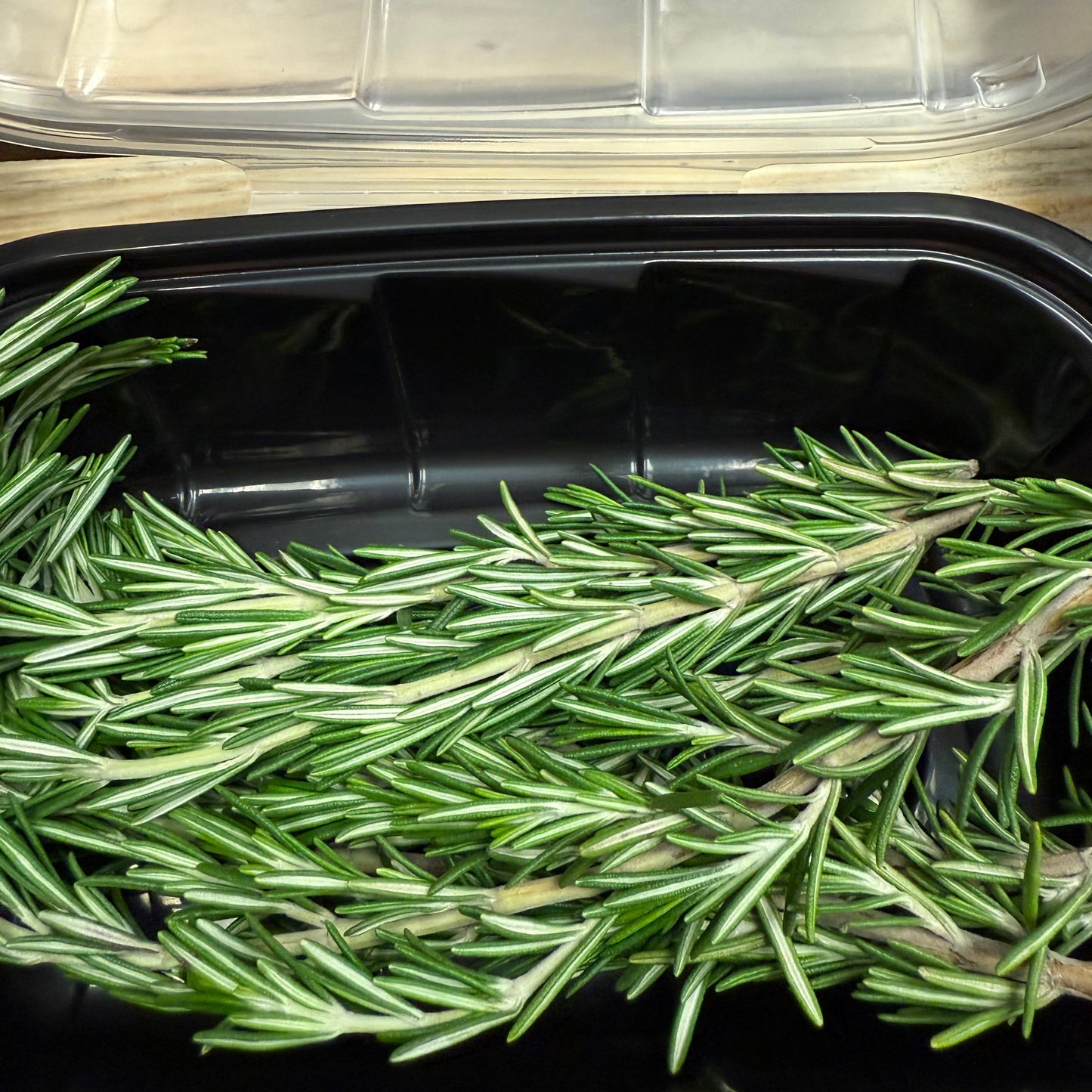 Rosemary Fresh Herb
