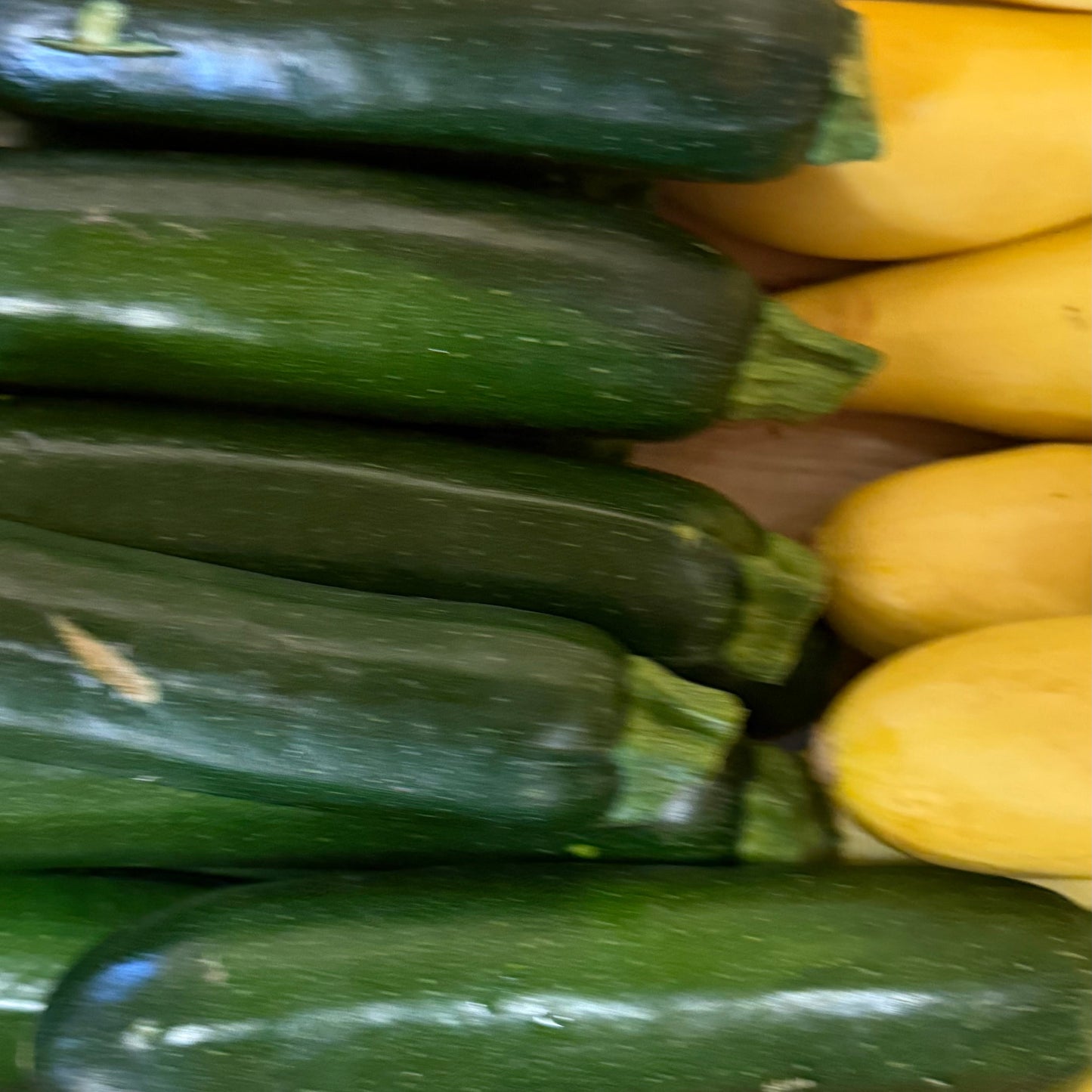 Zucchini Green