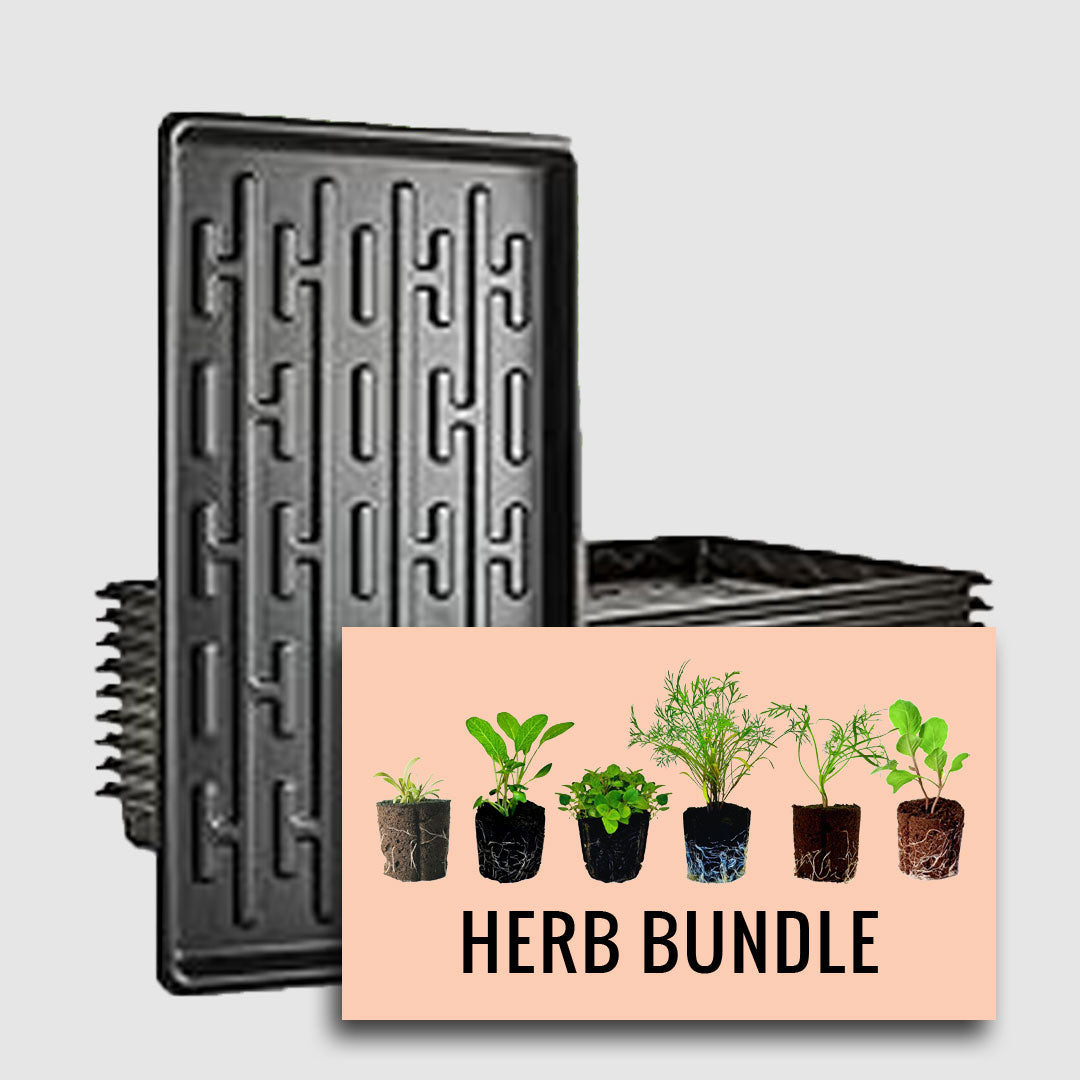 plant pot bundle Herbs 6 Plant Bundle – Windmill Pond Farms