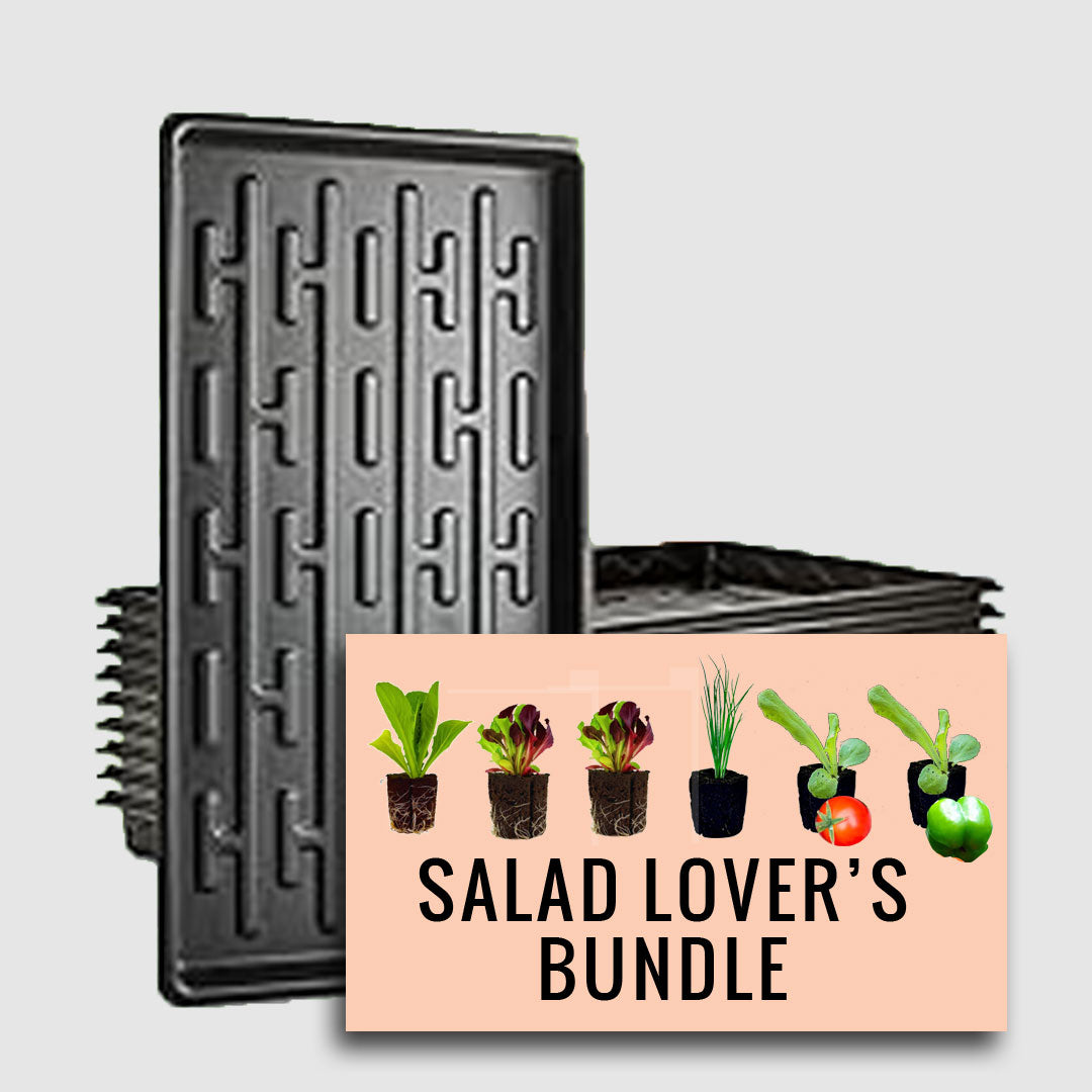 Salad Lover's 6 Plant Bundle