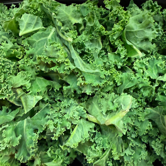 Organic Kale