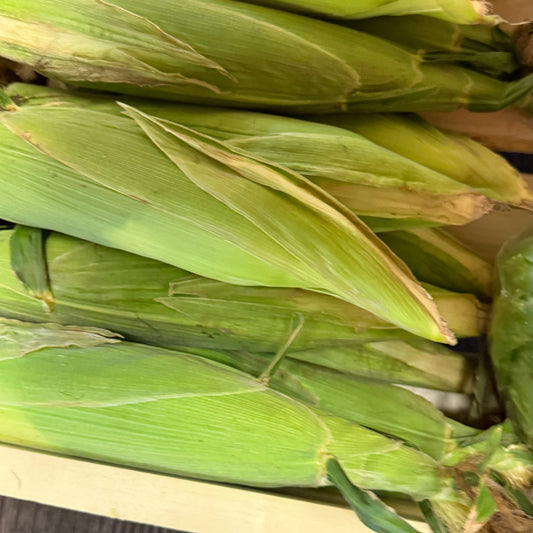 Yellow Corn